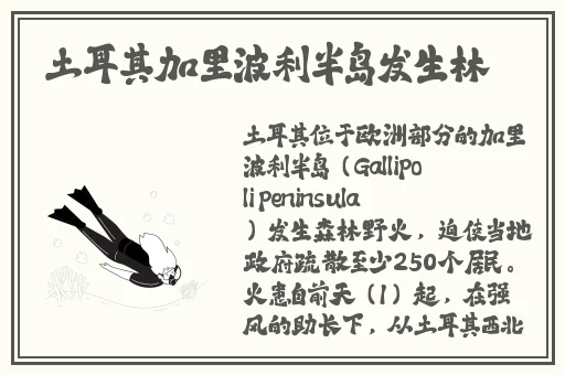 俄罗斯牛or猪or狗